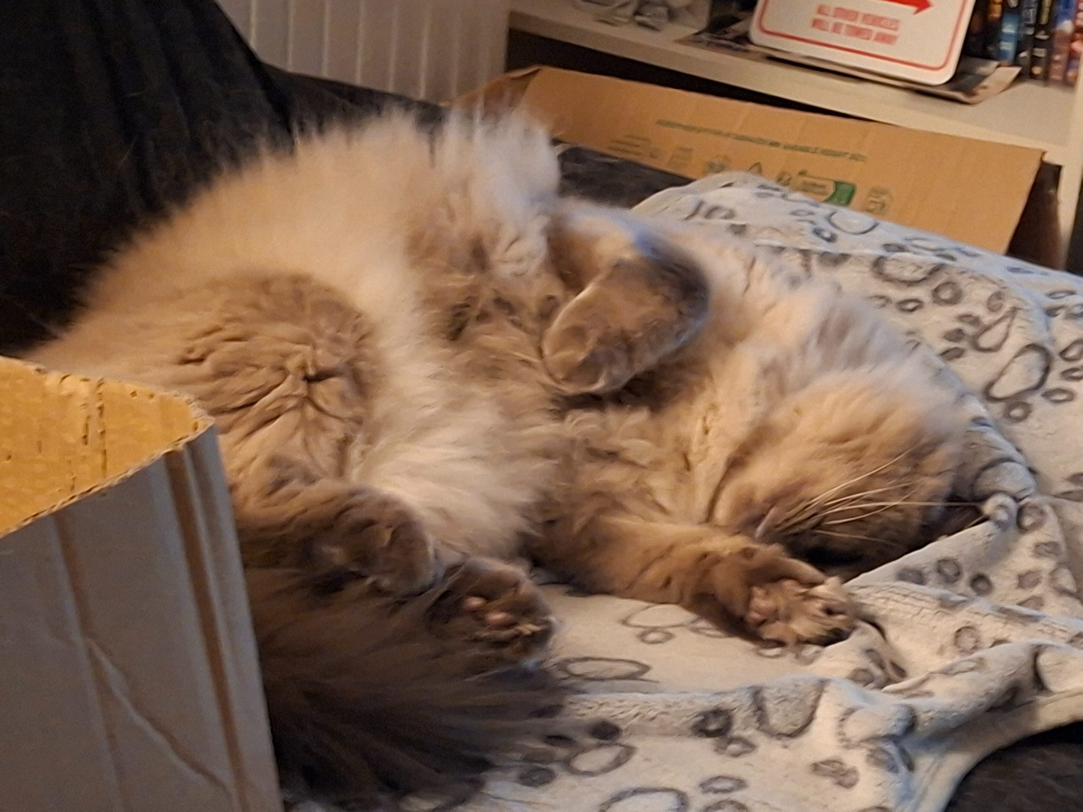 Gute Nacht